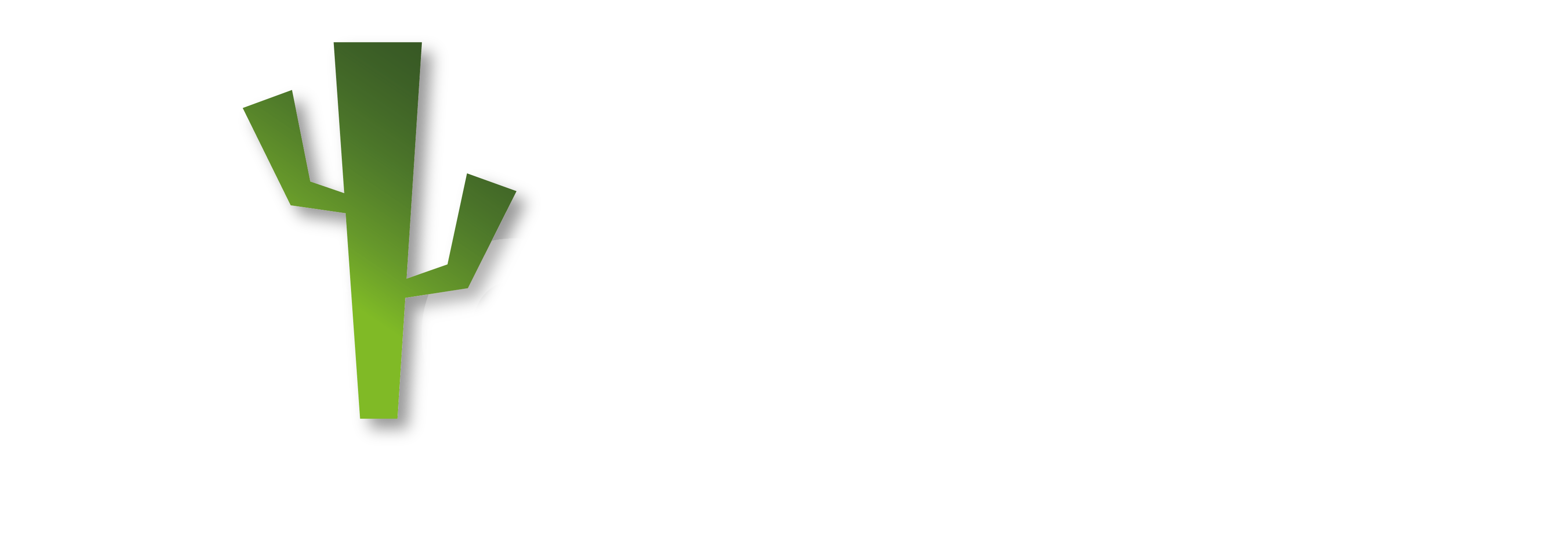 Kctostudio